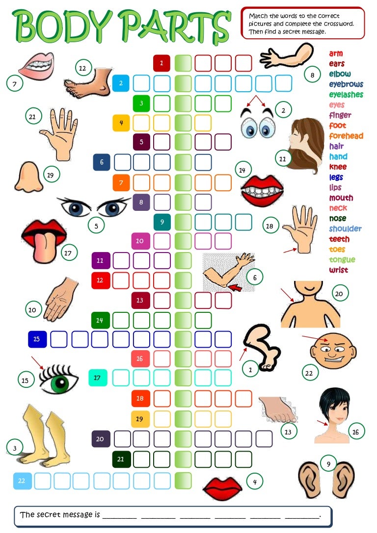 Body parts Identificar Match The Words To The Pictures