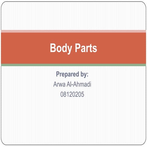 Body Parts Activity for Kids