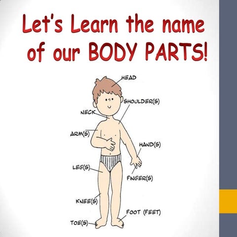 Body parts (Vocabulary Introduction) Lesson 1