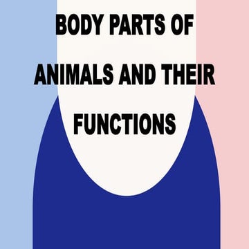 Body Parts of Animals and their Functions.pptx