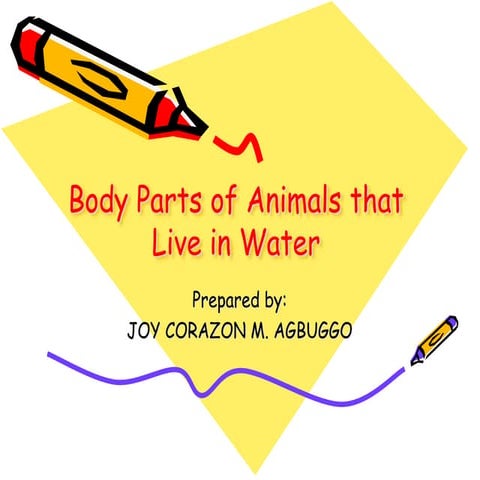 BODY PARTS OF AQUATIC ANIMALS.pptx