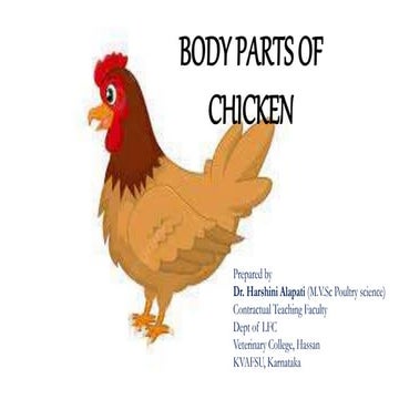 Body parts of chicken.pptx