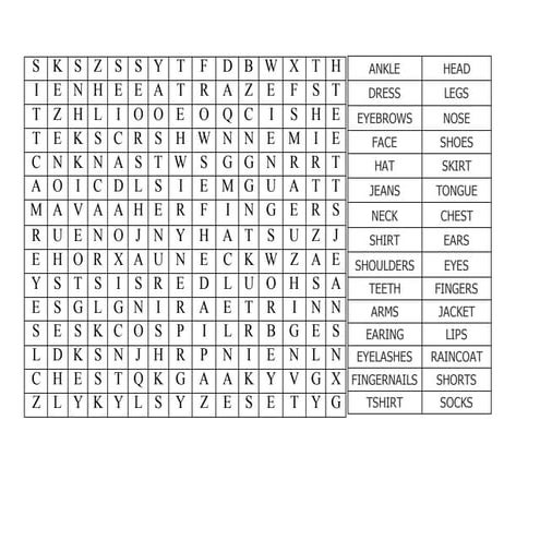 Body parts wordsearch
