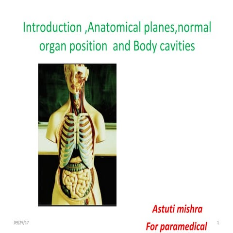Body planes and body cavities (anatomy)