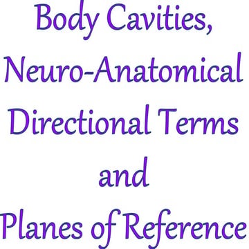 Body planes and directional terms