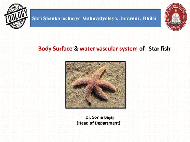 External part of Body (oral & ab oral Surface) , Pedicellaria & water vascular system of star fish