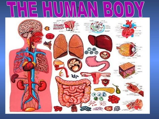 Systems of human body | PPTX