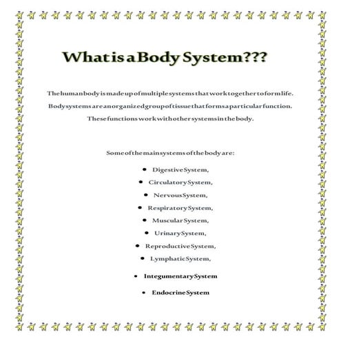 Body system
