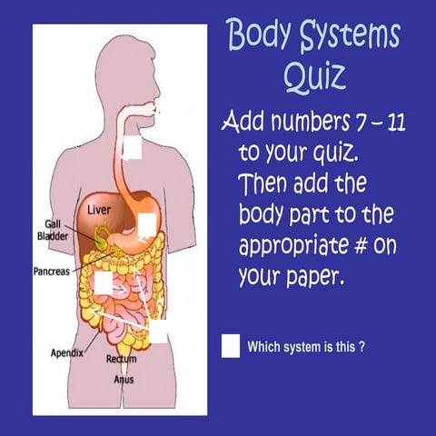 Body systems powerpoint