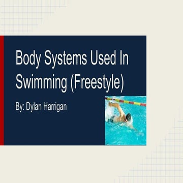 Body systems used in swimming