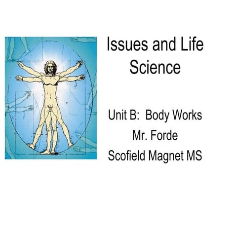 Bodyworks nb813 copy