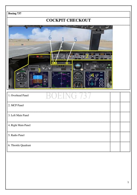 Boeing 737 cockpit checkout