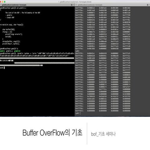 Buffer Overflow PPT (OneTwo)