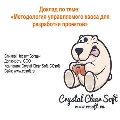 Bogdan Nesvit, COO, Crystal Clear Soft