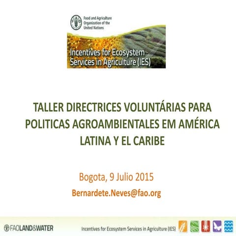 Directrices Voluntarias para Políticas Agroambientales en América Latina y el...