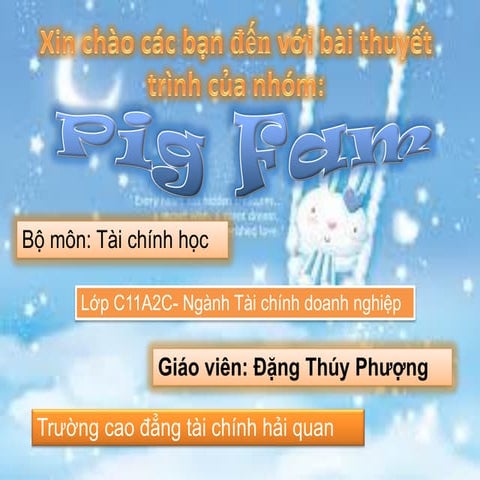 Bảo hiểm