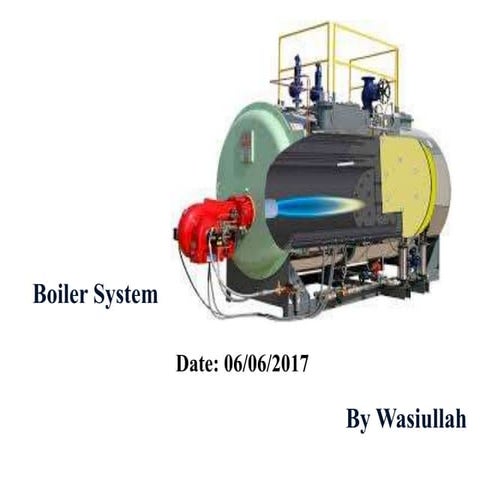 Boiler, Steam Trapes,  Insulation and Steam Distribution System