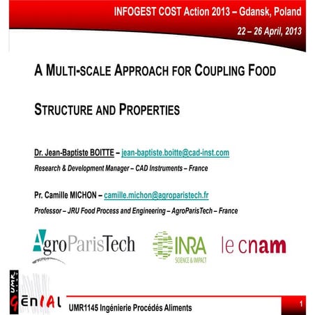Food structure and Propierties - INFOGEST, 2013