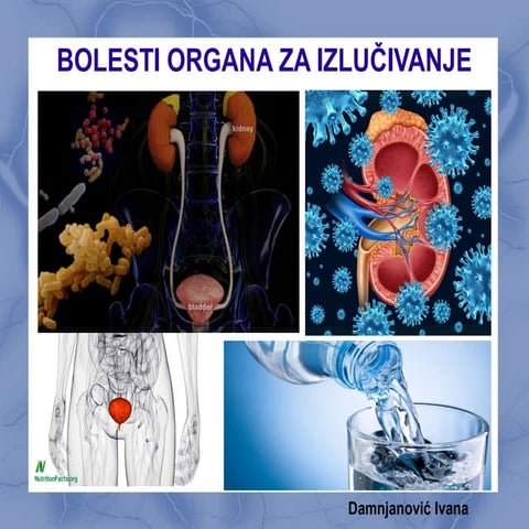 Bolesti organa za izlučivanje