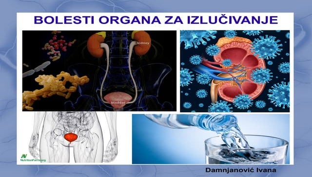 Bolesti organa za izlučivanje