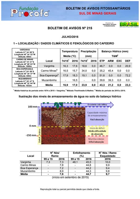 Boletim julho 2016   sm