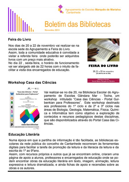 Boletim novembro