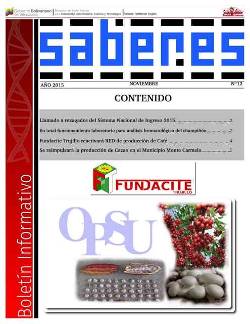 Boletin Informativo Saberes Fundacite Trujillo Nº 12
