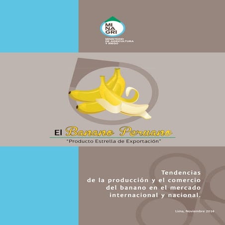 MINAG - Boletin Banano 2014