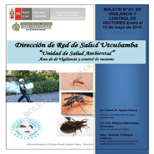 Boletin nº 01 2015