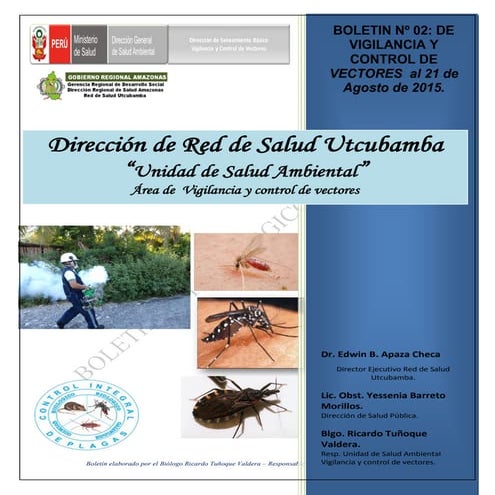 Boletin nº 02 2015