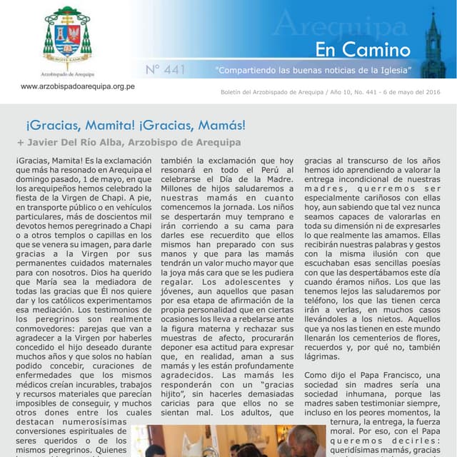 Boletin Digital N°441