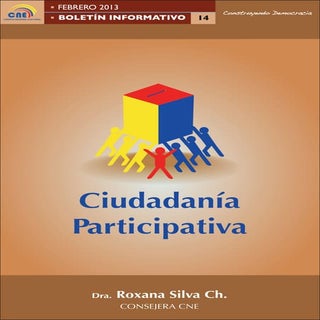 Boletin Informativo Elecciones 2013...