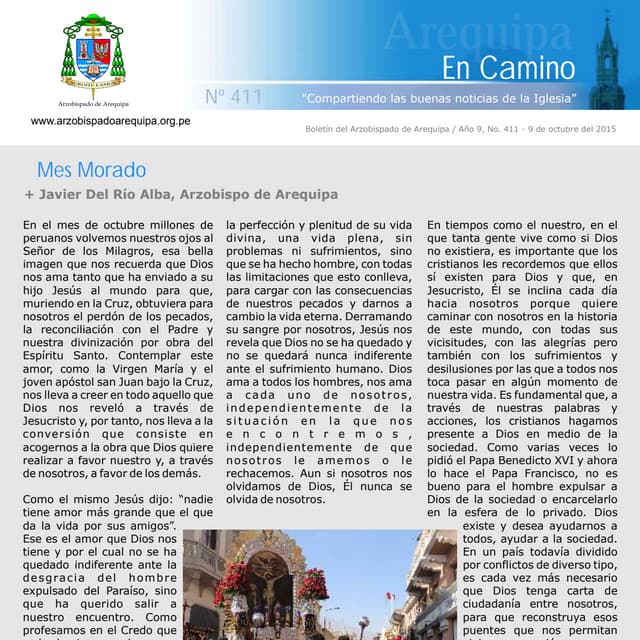 Boletín Digital Nº 411