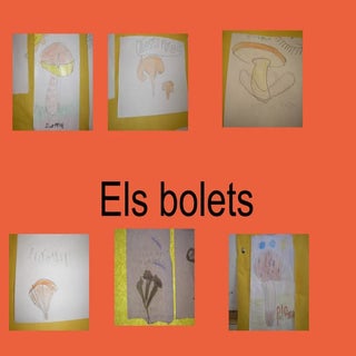 Bolets