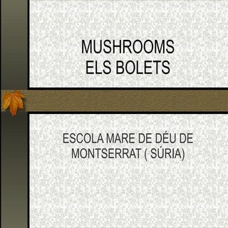 BOLETS, MUSHROOMS