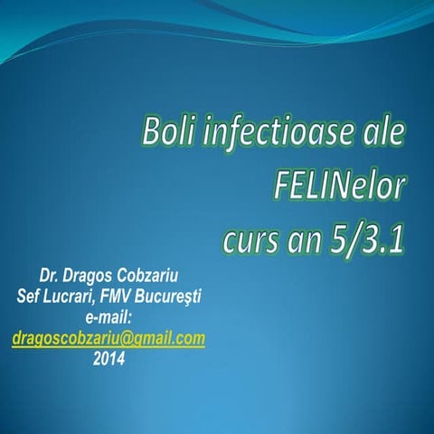 FeLV si FIV Boli pisici an 5 curs Diagnostic si Profilaxie