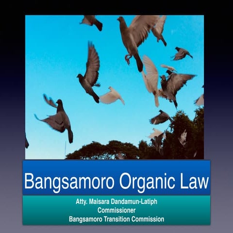 Bangsamoro Organic Law 