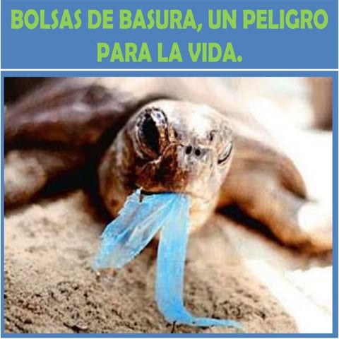 Bolsas de basura, un peligro para la
