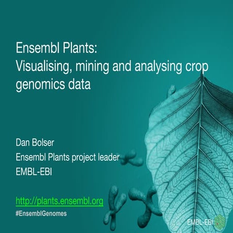 Ensembl Plants: Visualising, mining and analysing crop  genomics data