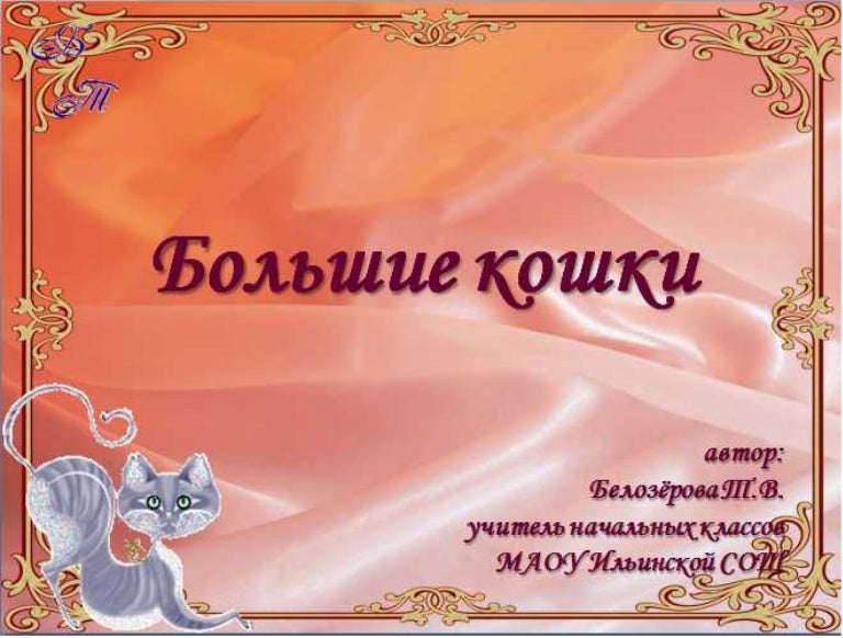 Bolshie koshki