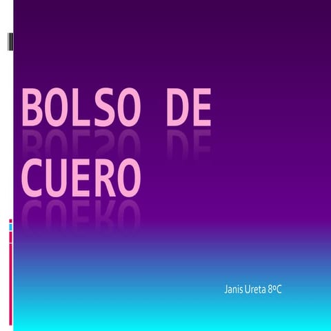 Bolso de cuero