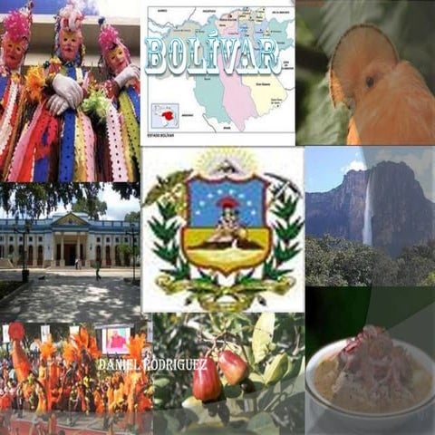 Estado bolivar