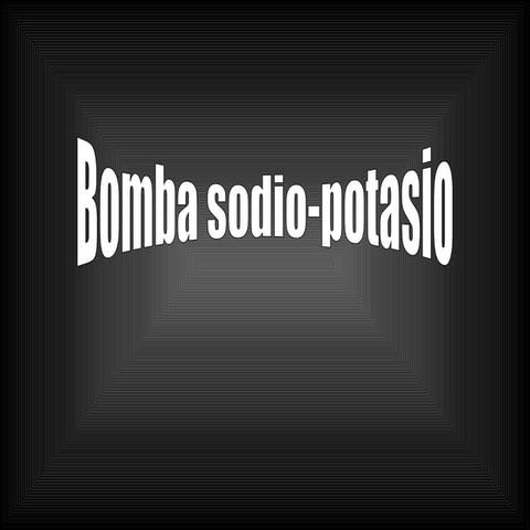 Bomba sodio-potasio