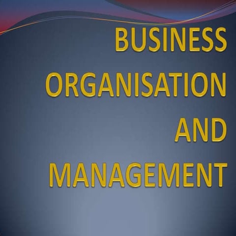 business organisation and management