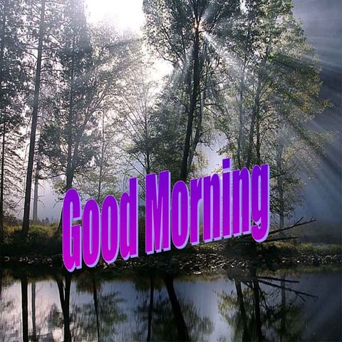 BONDING AND BANDING IN THE ORTHODONTICSS