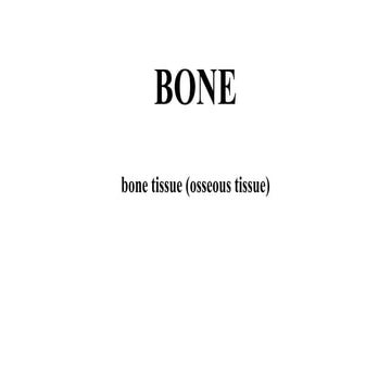 Bone-1.ppt