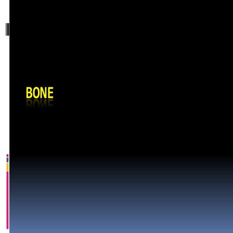 Bone