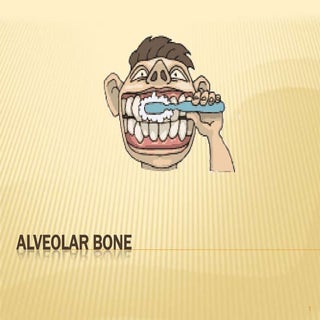 Alveolar Bone