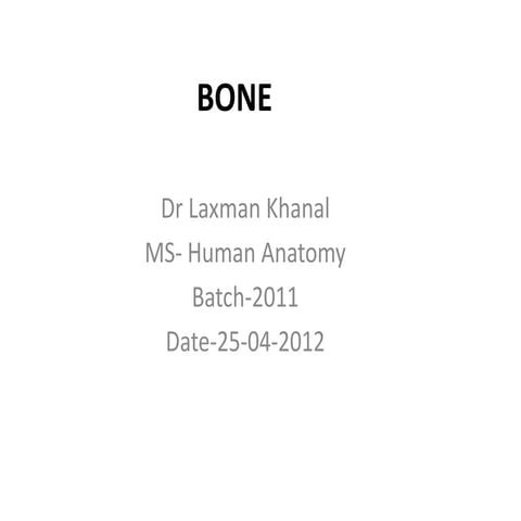 Bone