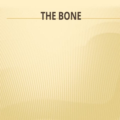 Ossification | PPT